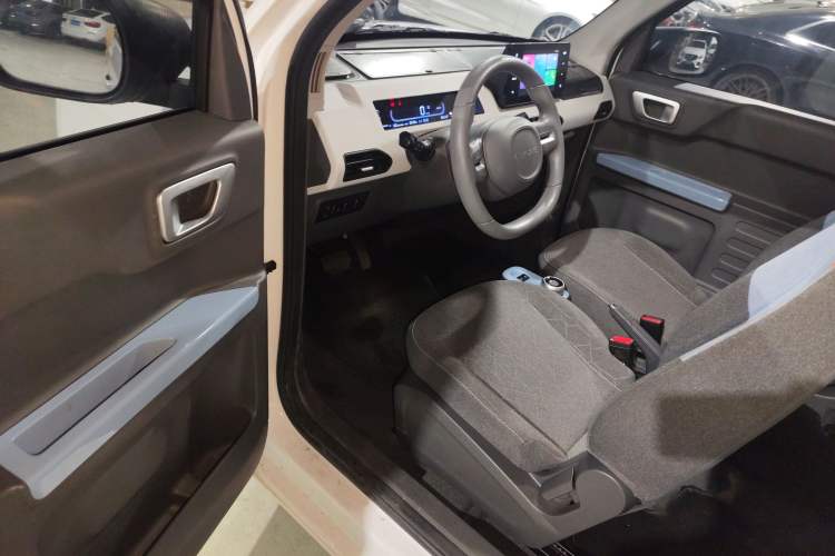 Used  Panda 2023 Panda Mini 200km Endurance Bear
