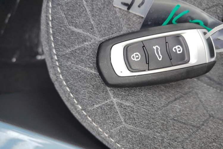 Used  Panda 2024 Panda Mini 200km Endurance Bear
