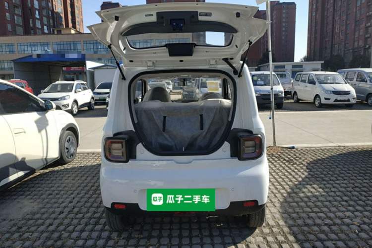 Used  Panda 2025 210 km – Yuanqi Bear
