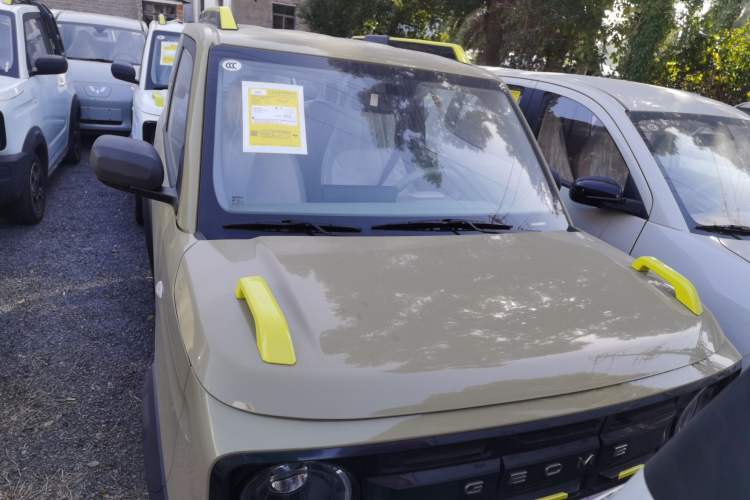 Used  Panda 2025 210km Panda Rider
