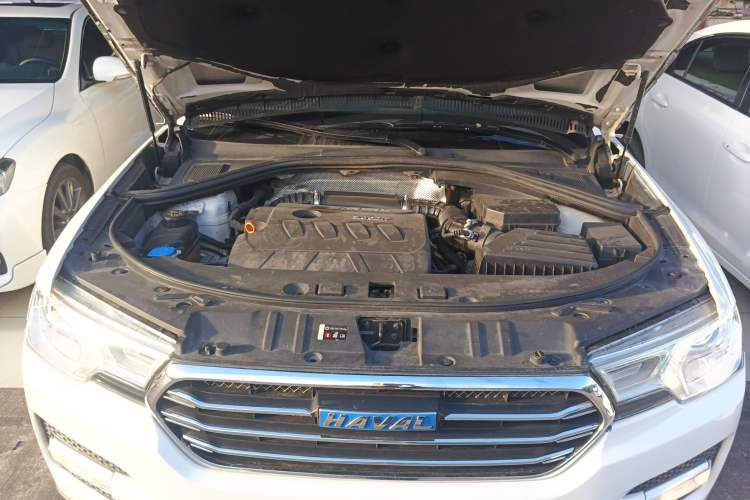 Used Haval H7 2016 Blue-Label H7 2.0T Automatic Luxury Model