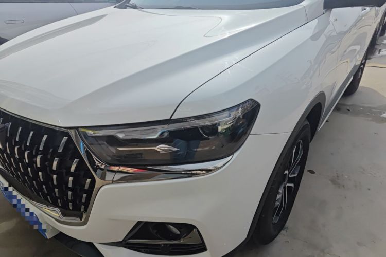 Used Haval H6 2023 National Trend Edition 1.5T Automatic Urban Version
