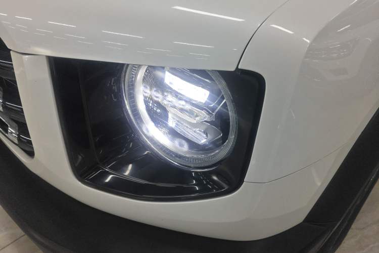 Used Haval DARGO 2021 2.0T DCT 4x4 Chinese Rural Dog Edition
