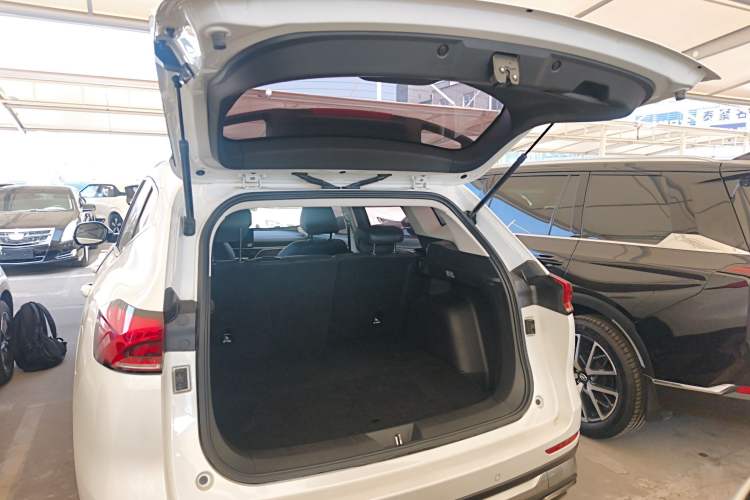 Used Haval H6 2023 National Trend Edition 1.5T Automatic Urban Version
