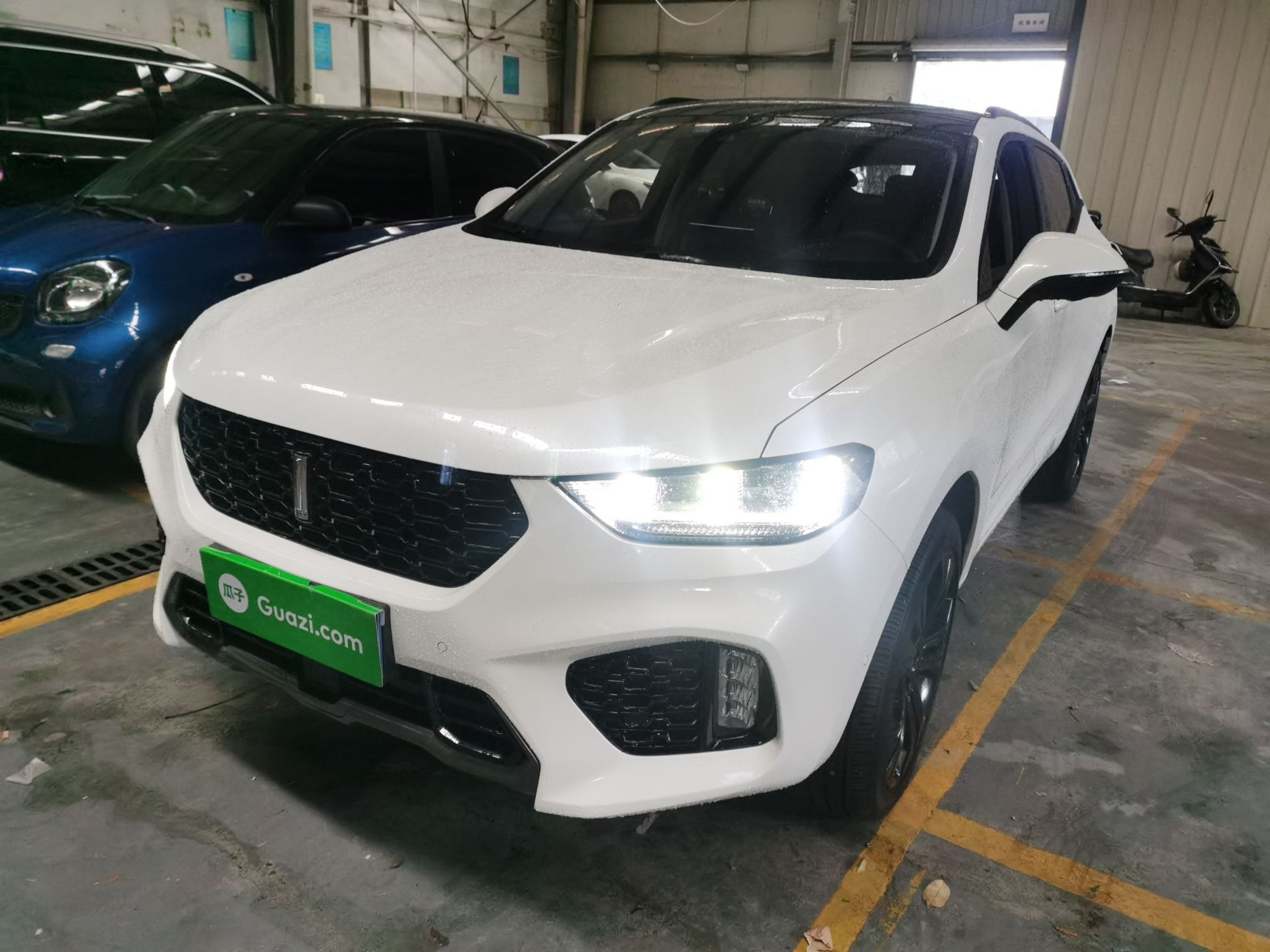 تحت مقدمة السيارة