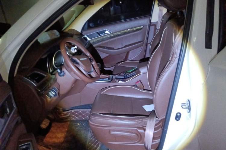 Used Leopaard CS10 2017 2.0T Automatic Urban Version