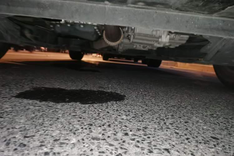 Used Buick Regal 2019 20T Elite Version China VI Standard
