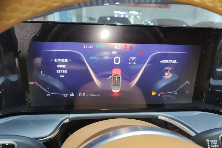 Used Hongqi H9 2024 2.0T Qixiang Luxury Business Edition
