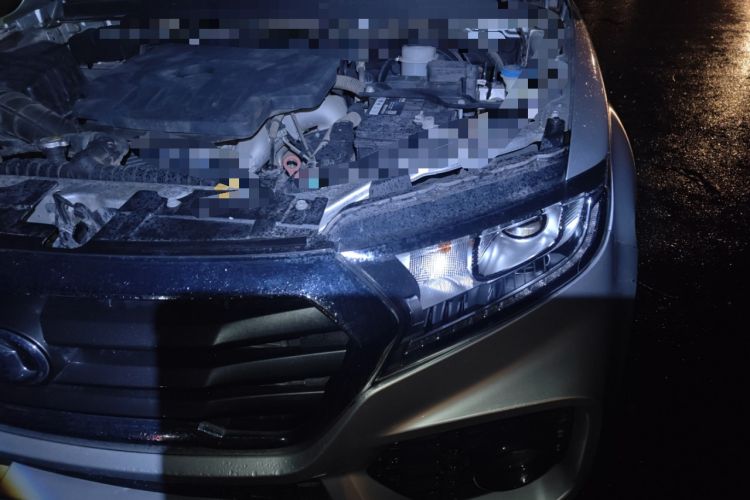 Used Great Wall Wingle 7 2019 2.0T Four-Wheel Drive Champion Executive Version Big Double 4D20D