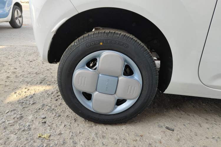 Used  Panda 2024 Panda Mini 200km Endurance Bear
