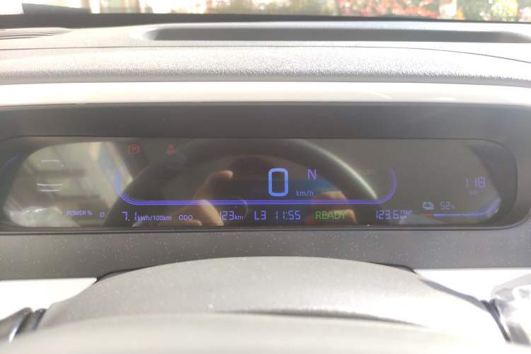 Used  Panda 2025 210 km – Yuanqi Bear