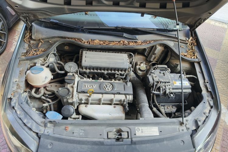 Used Volkswagen Polo 2013 1.6L Automatic Comfort Edition
