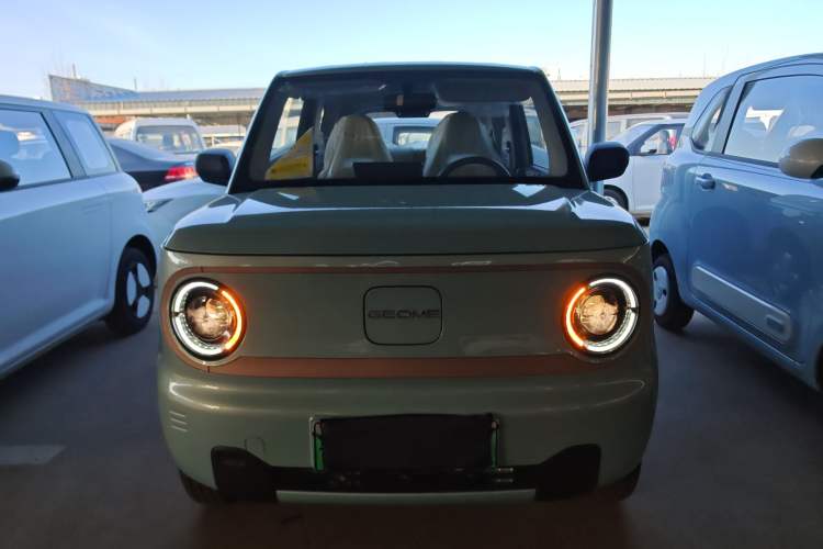 Used  Panda 2024 Panda Mini 200km Endurance Bear