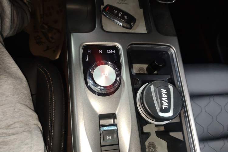 Used Haval DARGO 2024 2.0T DCT Chinese Rural Dog Edition
