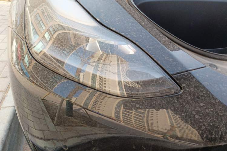 Used Tesla Model Y 2022 Rear-Wheel-Drive Version