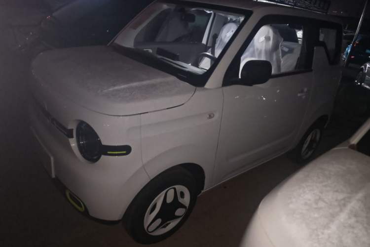 Used  Panda 2025 210 km – Yuanqi Bear
