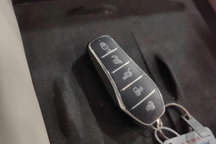 Used BYD Xia 2025 DM-i 1.5T 180km Excellence Model
