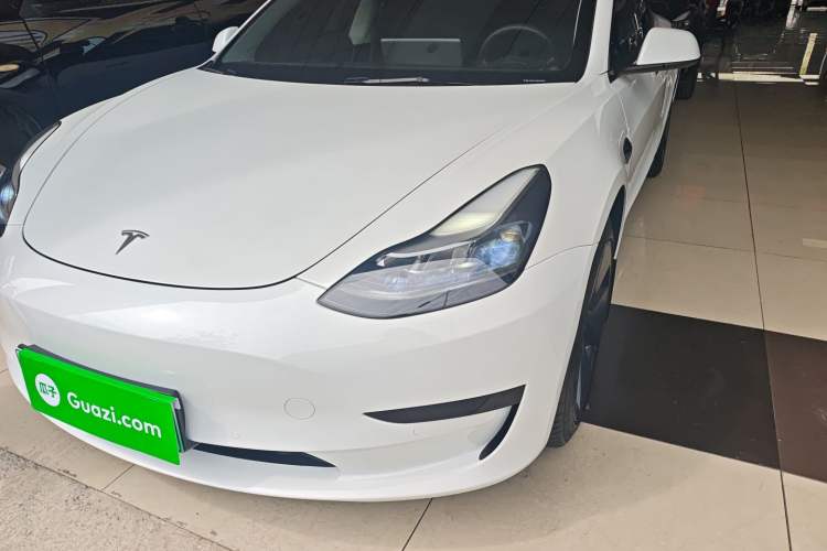 Used Tesla Model 3 2021 Standard Range Rear-Wheel Drive Upgraded Version 3D6