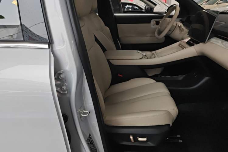 Used Wuling Xingguang S 2024 130 km Flagship Version
