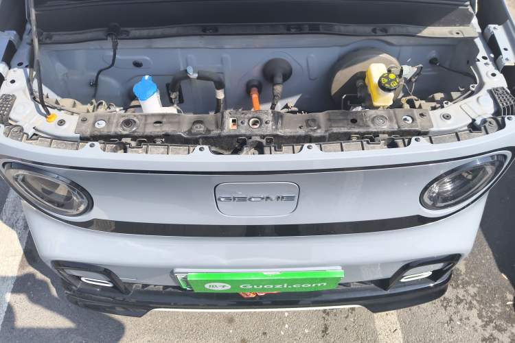 Used  Panda 2024 200km Panda Kart
