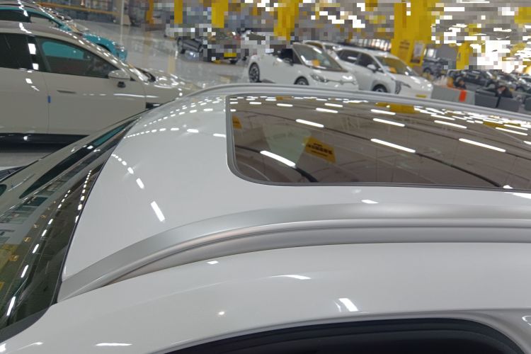 Used Geely Auto Monjaro L 2024 2.0TD High-Power Automatic Two-Wheel Drive Skyline Edition
