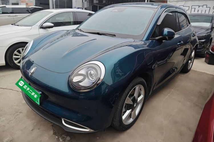 Used ORA Good Cat 2023 401 km Standard Range Luxury Version Lithium Iron Phosphate