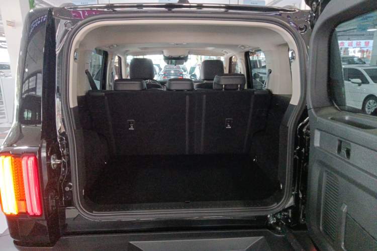 Used Tank 300 2024 2.0T Conqueror