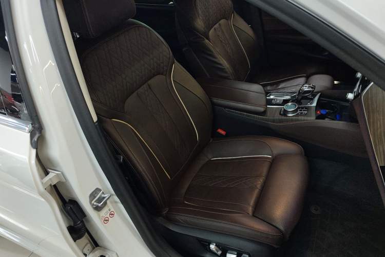 Used BMW 5 Series 2020 530Li Luxury Edition Premium Package