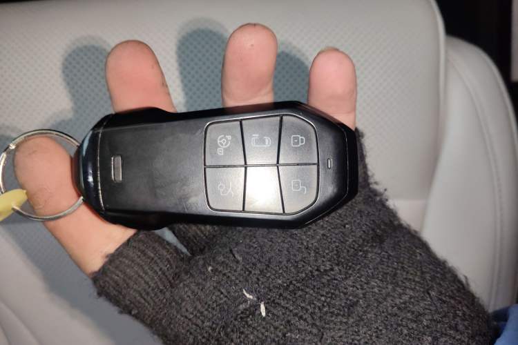 Used XPeng X9 2024 702 Ultra-Long Range Max
