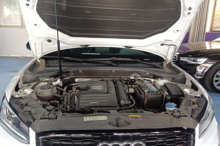 Used Audi Q2L 2020 35 TFSI Fashion Dynamic Model
