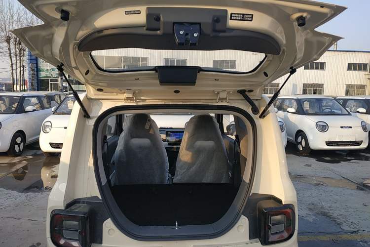 Used  Panda 2025 210 km – Yuanqi Bear
