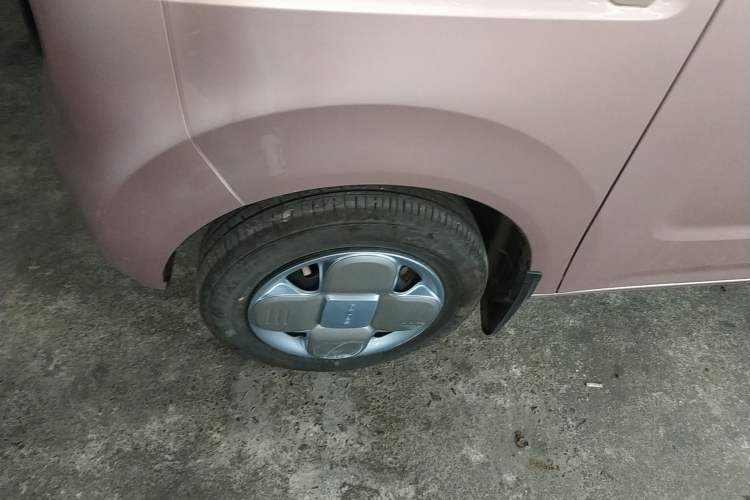 Used  Panda 2023 Panda Mini 200km Endurance Bear
