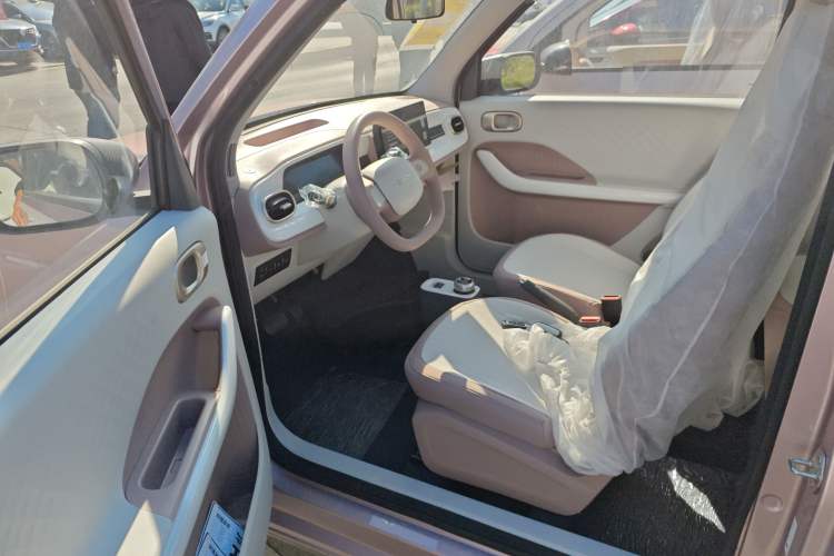 Used  Panda 2025 210 km – Yuanqi Bear
