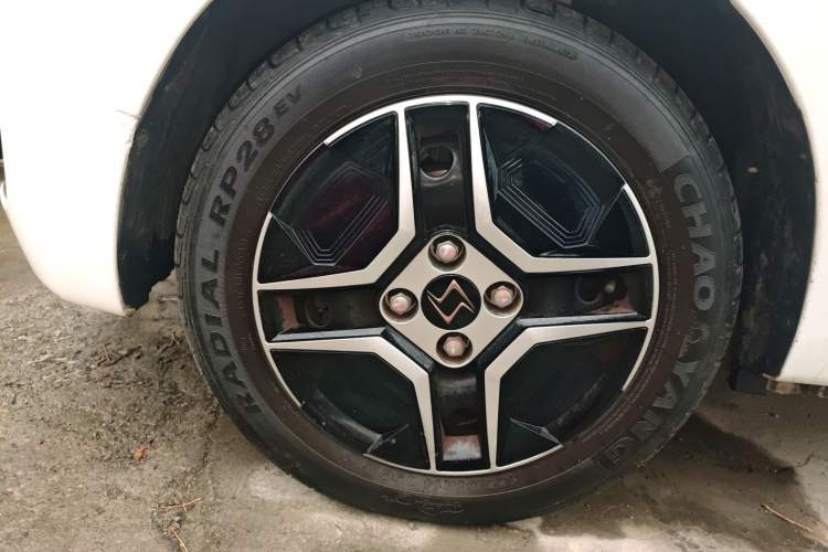 Used SOL E10X 2022 Flower Fairy Design Four-Leaf Clover
