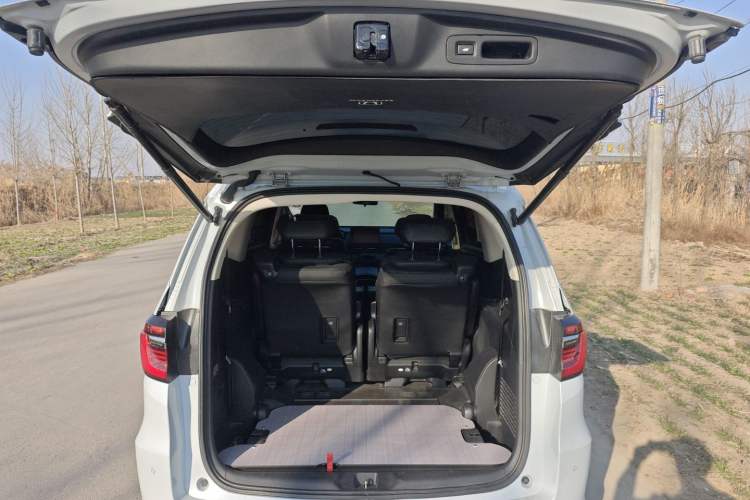 Used Honda Elysion 2024 2.0L eHEV Luxury Edition