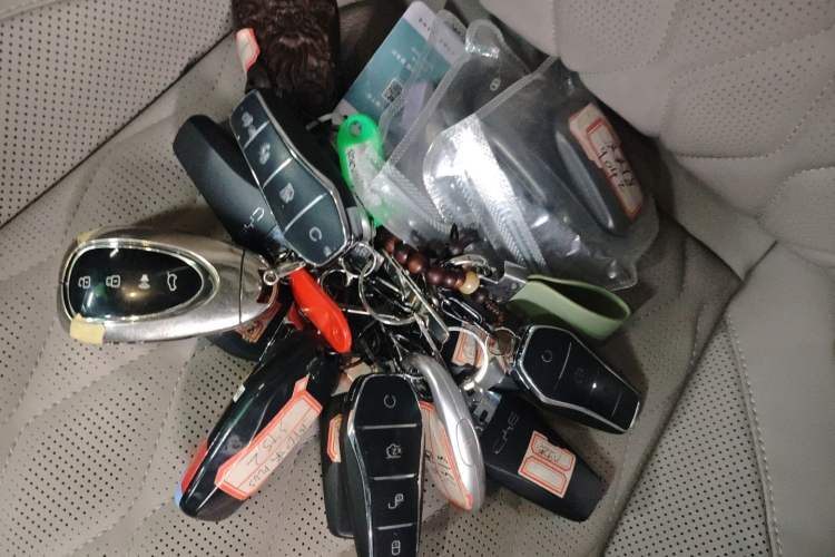 Used BYD Tang New Energy 2025 DM-i 115KM Flagship Model
