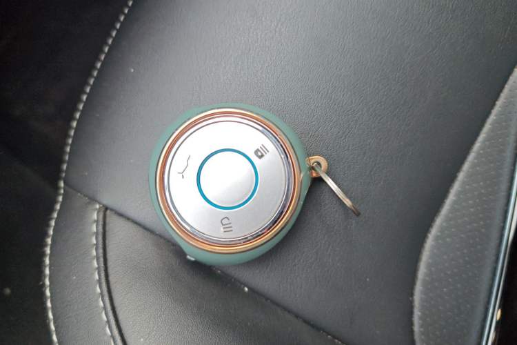 Used NETA V 2021 Long-Range Industry Custom Edition