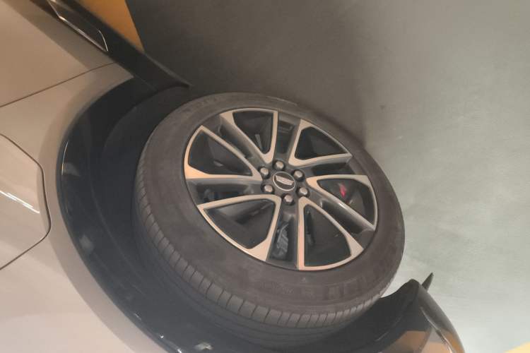 Used Cadillac OPTIQ 2024 Four-Wheel Drive Long-Range Version
