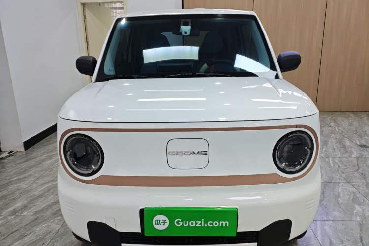 Used  Panda 2024 Panda Mini 200km Endurance Bear
