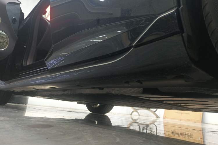 Used  06 2025 Max Extended-Range Edition
