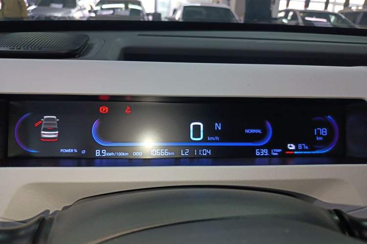 Used  Panda 2024 Panda Mini 200km Endurance Bear
