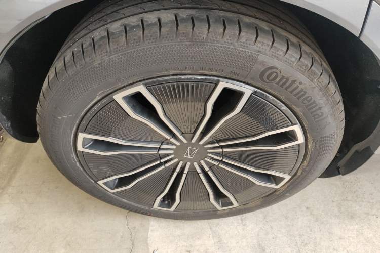 Used  07 2024 Max Extended-Range Edition
