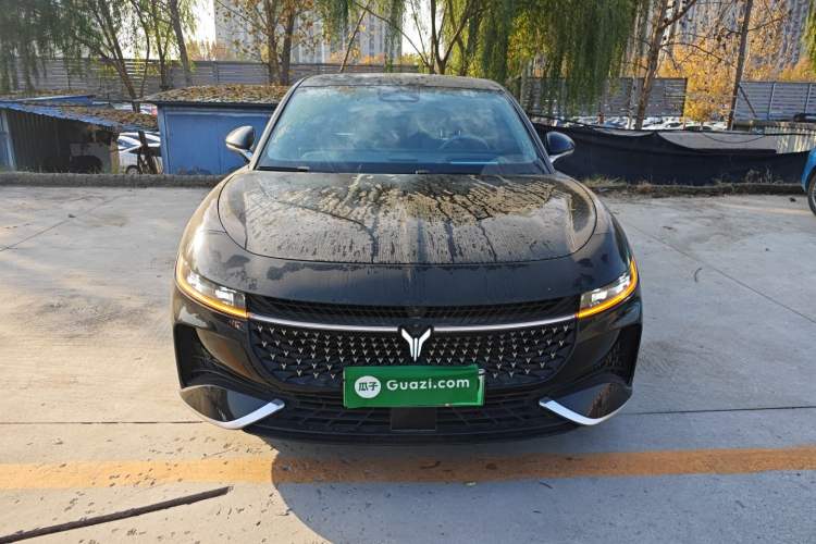 Used VOYAH PASSION 2024 PHEV Four-Wheel Drive Ultra-Long Range Executive Edition
