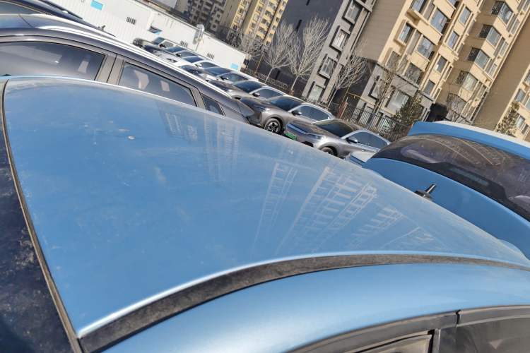 Used ORA Black Cat 2019 351 km Fun Edition