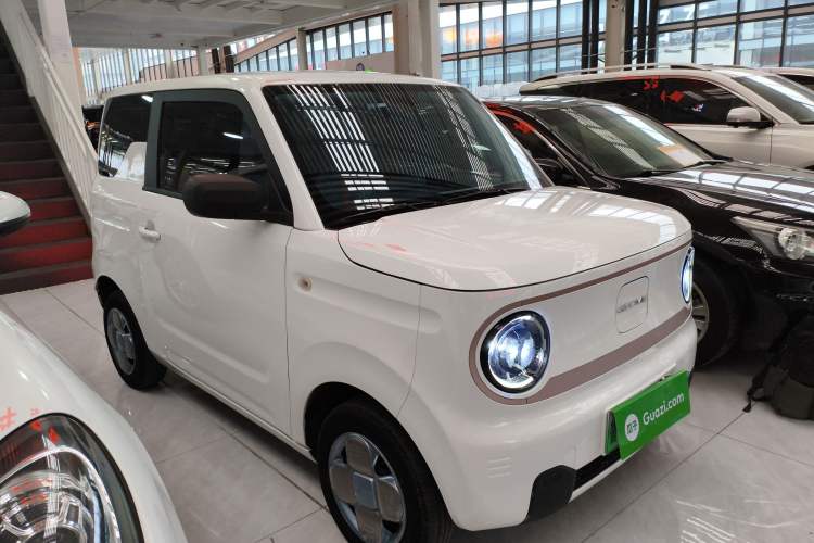 Used  Panda 2023 Panda Mini 200km Endurance Bear