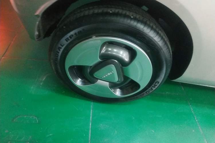 Used  Panda 2023 Panda Mini 200km Dynamic Bear