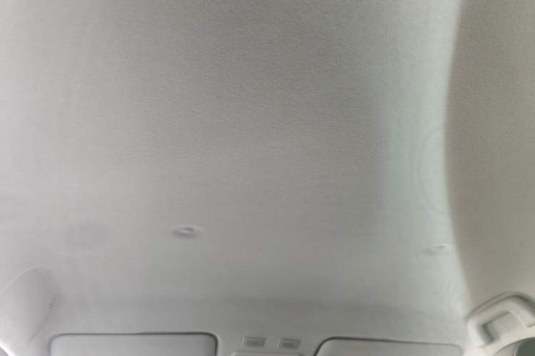 Used ORA Black Cat 2021 301 km Basic Version