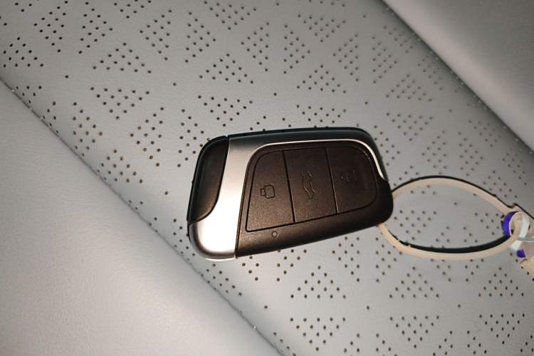 Used Chery Little Ant 2024 Revised Version Youth Edition 251 km True Love Edition 25.05 kWh
