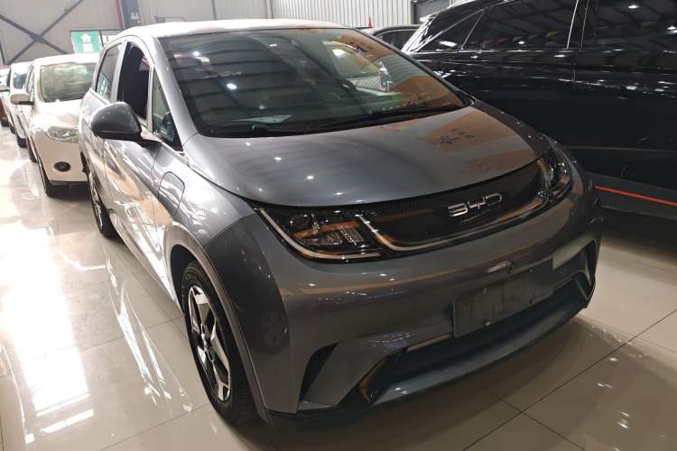 Used BYD Dolphin 2021 405 km Free Version
