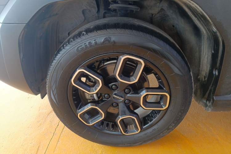 Used Haval X DOG 2022 1.5T DCT Two-Wheel Drive Trendy Edition
